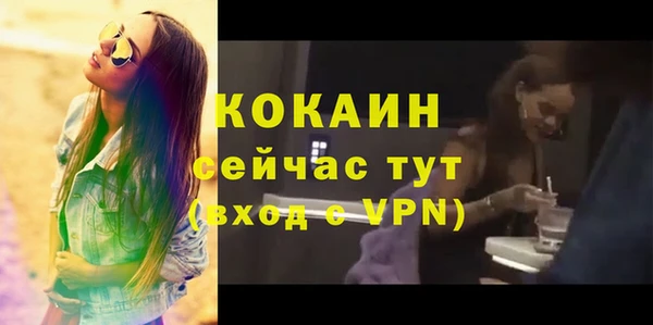 мяу мяу мука Аркадак
