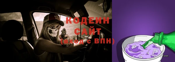 крисы Арсеньев