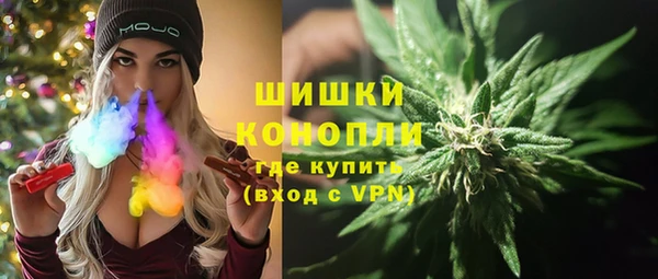 крисы Арсеньев