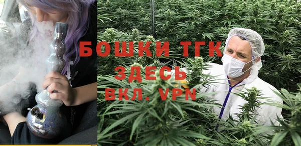 мяу мяу мука Аркадак
