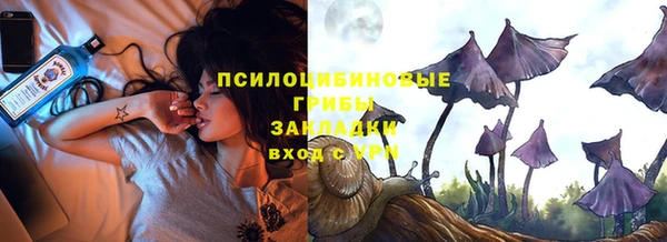 мяу мяу мука Аркадак