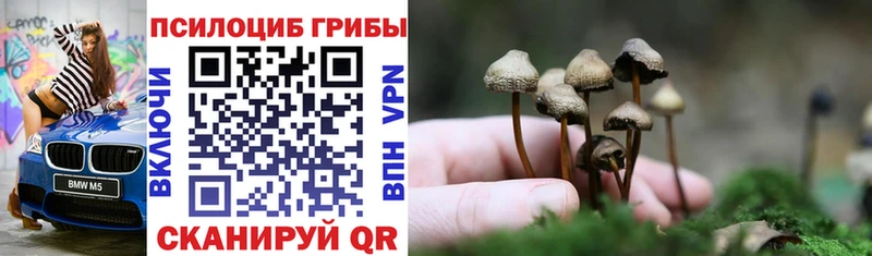 Псилоцибиновые грибы ЛСД mega сайт Волжский