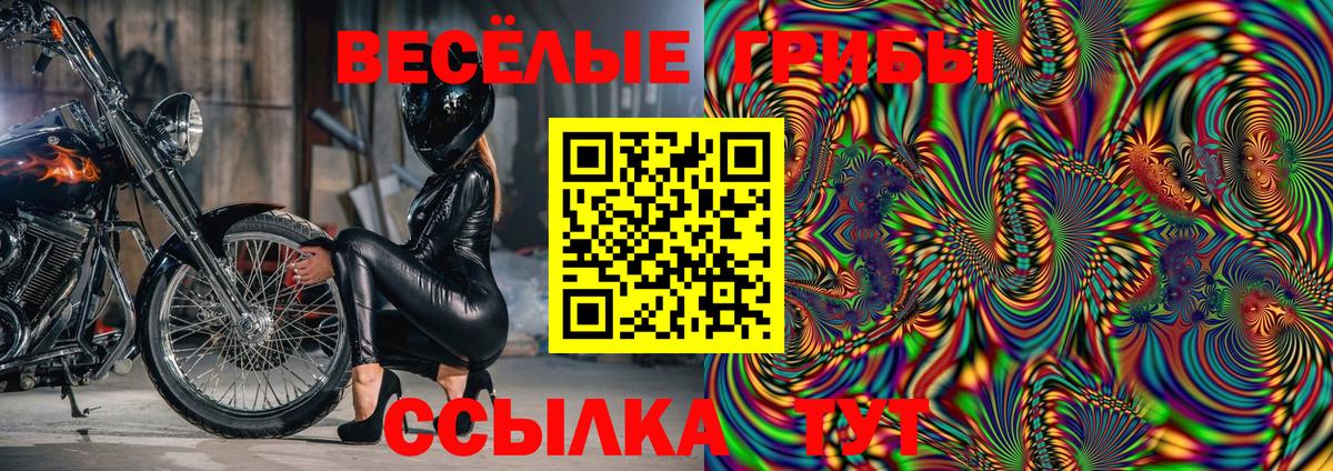 Галлюциногенные грибы мухоморы Волжский