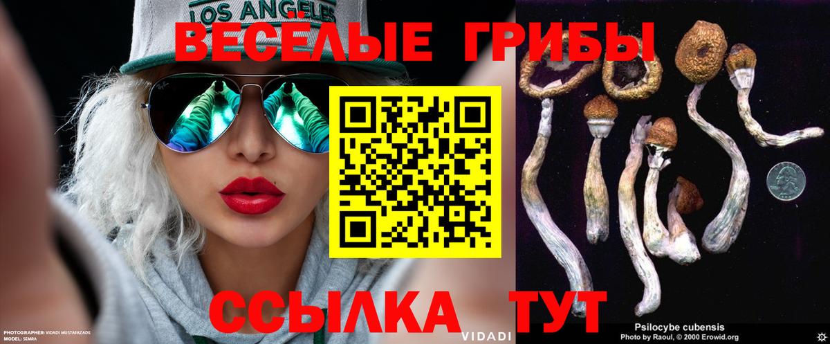 Волжский  Псилоцибиновые грибы Cubensis  как найти закладки  Вход с VPN  Галлюциногенные грибы MAGIC MUSHROOMS 
